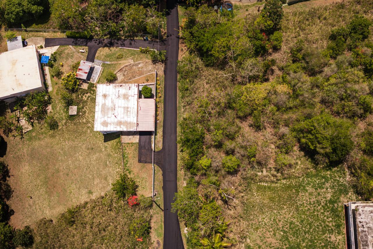 Vista aérea de camino repavimentado rodeado de vegetación
