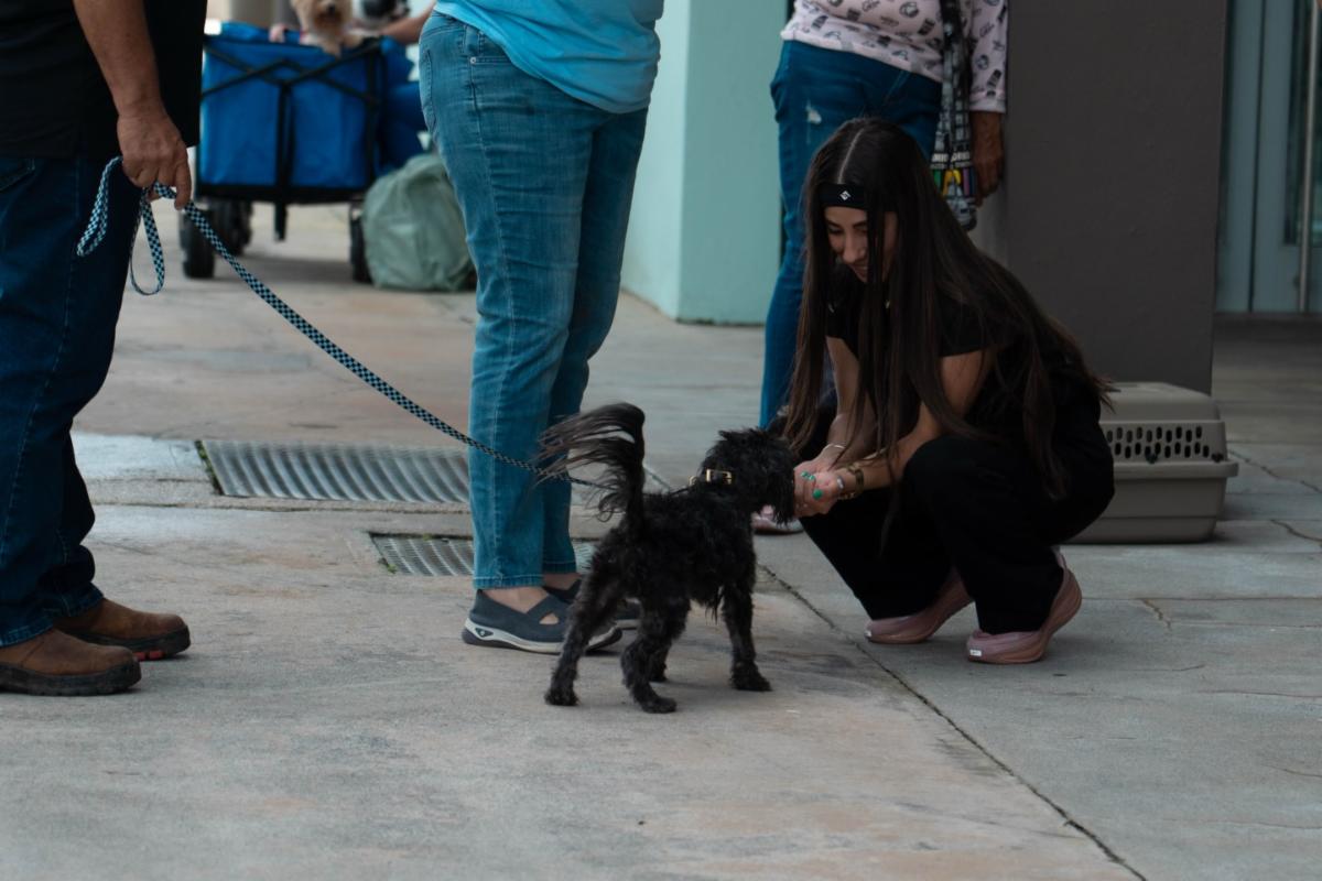 Joven acariciando a un perrito en la actividad