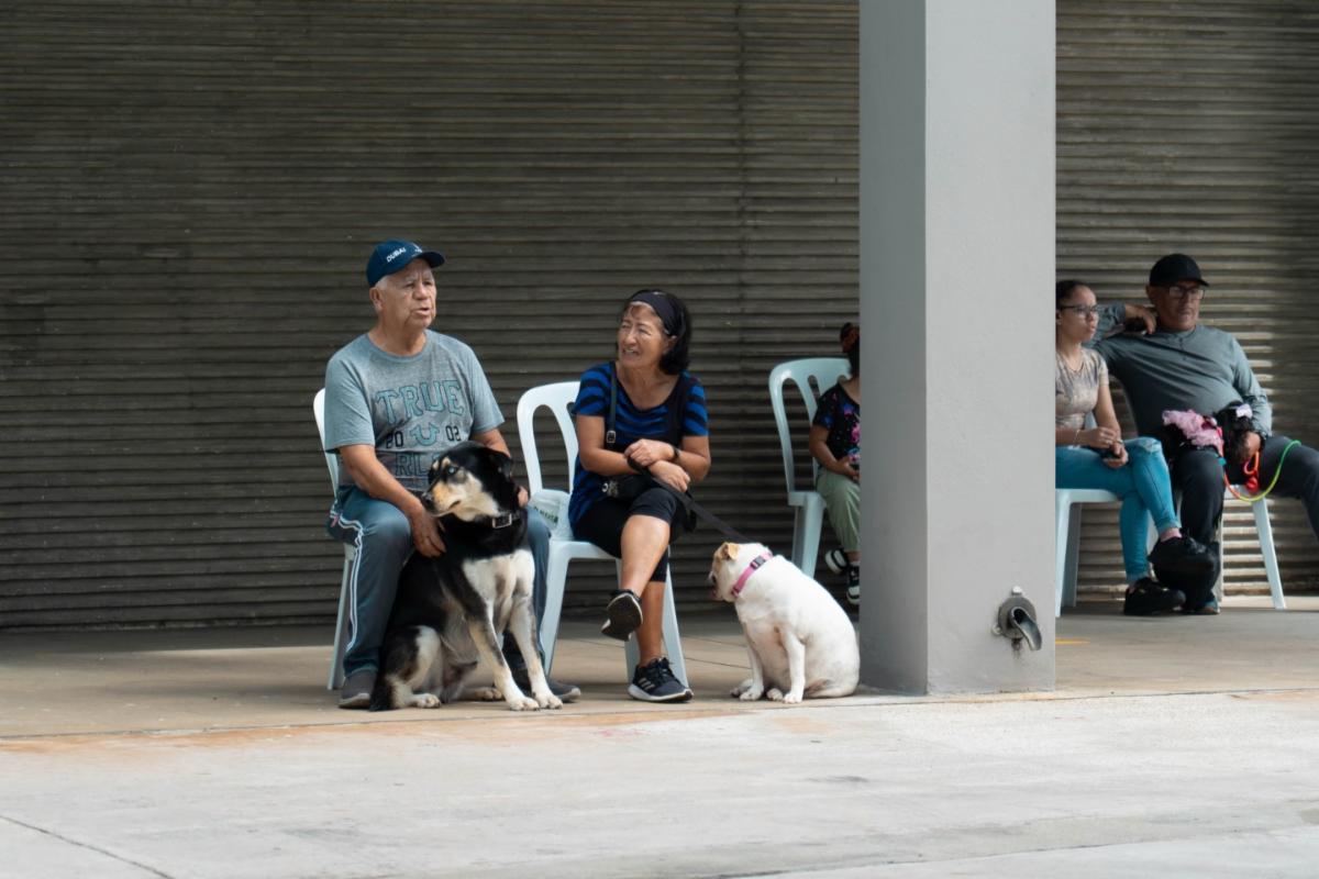 Residentes con sus perros en la plazoleta
